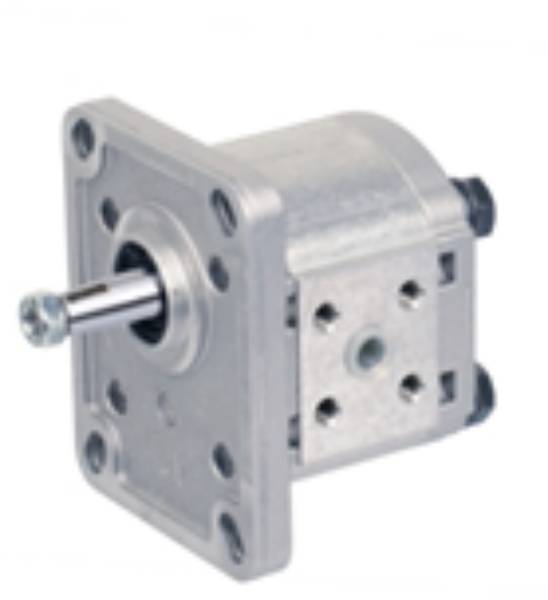 Bild på Pump PLP10.5,8 DO-81E1-L BB/BA-N