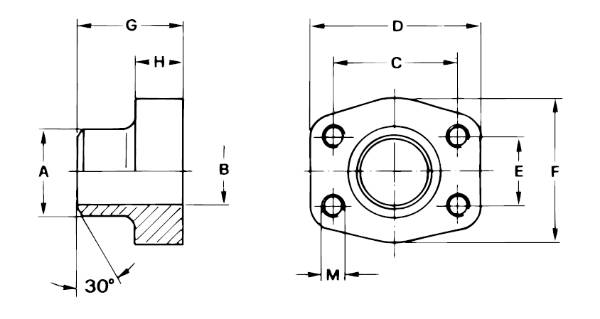Bild på Svetsfläns 3000PSI, "weld on" 