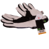 300